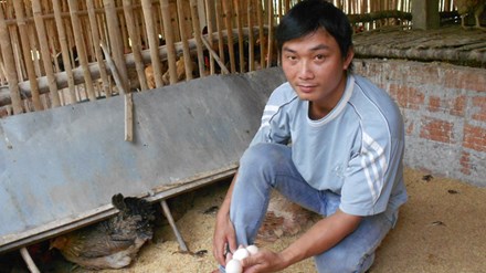 Ông chủ cơ sở gà giống Nguyễn Văn Trí.