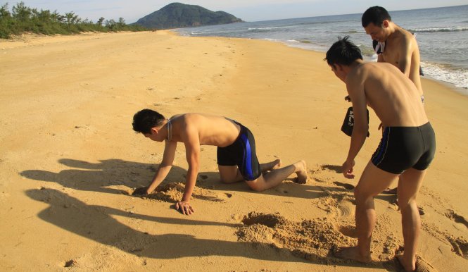 Mọi người tham gia bắt còng trên bãi biển Chân Mây - Ảnh: Lê Hồng Thái