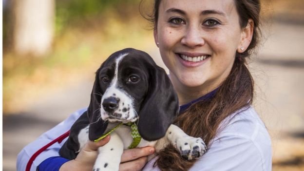 Một trong 7 chú cún ra đời nhờ thụ tinh ống nghiệm - Ảnh: BBC