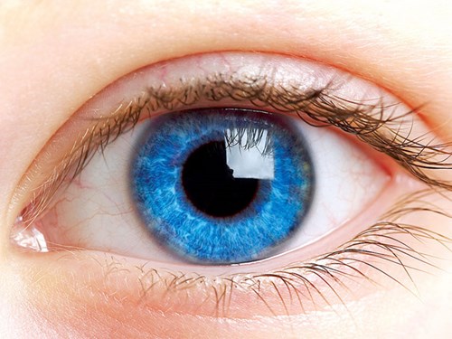 Màu mắt tố cáo tình trạng sức khỏe của bạn - ảnh 1