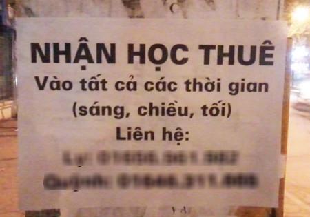 Hoc ho, hoc thue: Nghe moi cho cu nhan that nghiep