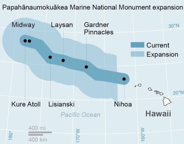 ​Obama mở rộng khu bảo tồn biển lớn nhất thế giới tại Hawaii 