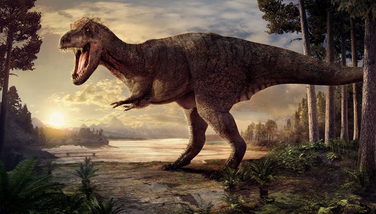 Đồ họa tái hiện hình dáng khủng long bạo chúa Trix sinh sống cách đây 66 triệu năm. 