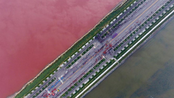 Hàng ngàn du khách đổ xô xem hồ nước đổi màu hồng 