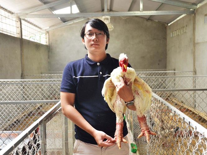 Anh Chu Thương Tín đầu tư chuồng trại khang trang để nuôi gà /// Ảnh: Phạm Linh