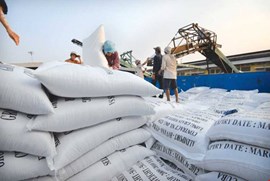 Xin giấy phép xuất khẩu gạo tốn 20.000USD: Bộ Công Thương vào cuộc