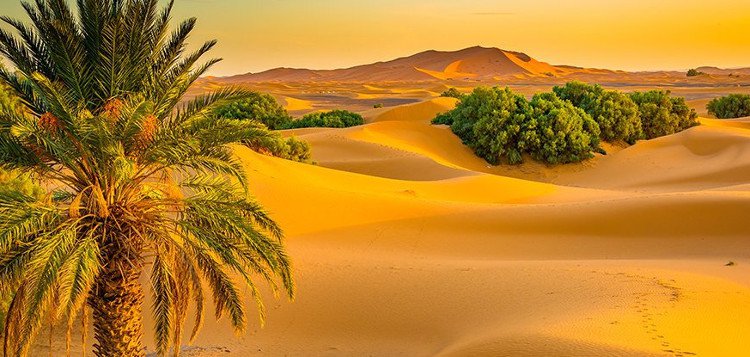 Vài ngàn năm trước, chính tại nơi sa mạc được cho là khắc nghiệt lại là một đồng cỏ rộng lớn, xanh tươi.