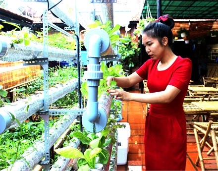 Chị Vương Thị Hoan bên giàn rau trồng theo mô hình thủy canh.