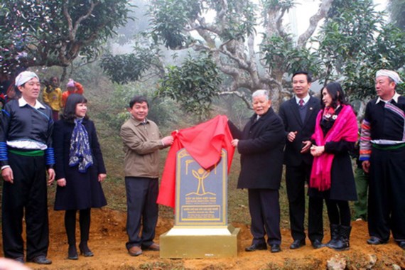 Lễ công nhận Cây di sản tại Suối Giàng, Yên Bái vào năm 2016 của Hội Bảo vệ Thiên nhiên và Môi trường Việt Nam. Ảnh: TTXVN