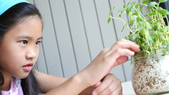 Đến 6 hoặc 7 tuổi, trẻ đã có thể tự mình biết cách trồng và chăm sóc cây /// Shutterstock