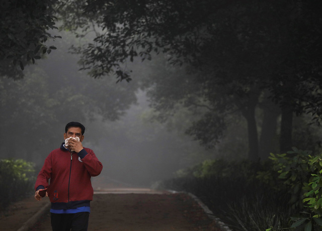 New Delhi tuyên bố tình trạng khẩn cấp vì ô nhiễm không khí - Ảnh 3.
