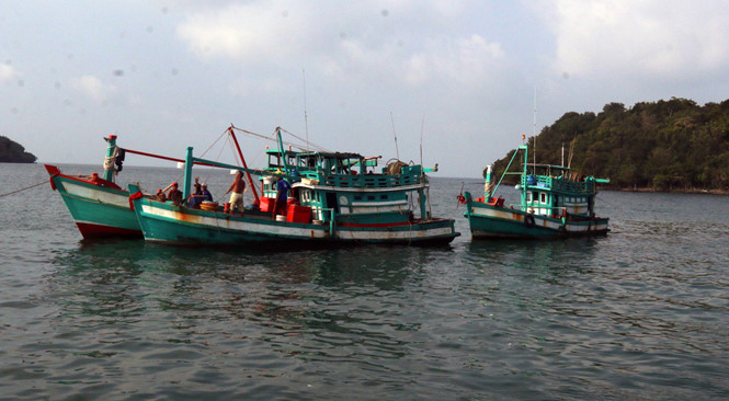 Nhiều chủ tàu cá ở Kiên Giang phản ánh bị mất tiền do nạn “cò ngư phủ” /// Ảnh: Minh Khoa