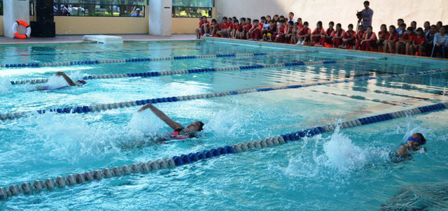 Đà Nẵng dạy bơi cho 28.000 học sinh - Ảnh 1.