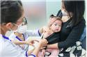 Hành trình 5 năm VNVC đưa vắc xin chất lượng cao đi khắp đất nước