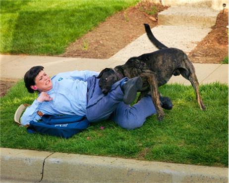Hơn 5.300 nhân viên bưu điện bị chó cắn khi giao thư ở Mỹ
