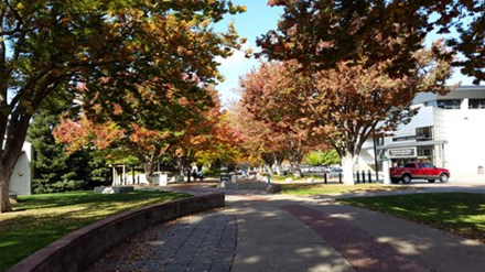 Khuôn viên trường Mỹ rộng như công viên nên đi lại bằng ván trượt rất thuận tiện. Đằng xa bên phải là bãi đỗ xe của trường. Ảnh: NVCC.