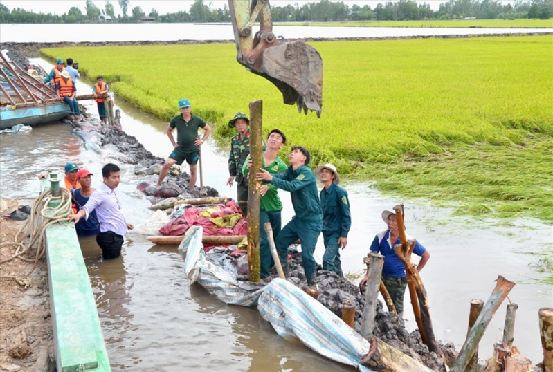 Dân quân đang bảo vệ bờ bao bảo vệ 150ha lúa tại xã Vĩnh Gia, huyện Tri Tôn, tỉnh An Giang. Ảnh: Lục Tùng