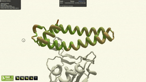 Cấu trúc protein của virus corona trong game