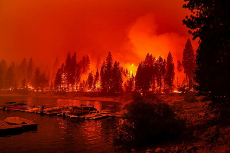 Linh cứu hỏa đốt hành lang thực vật để ngăn cháy rừng khi đám cháy Creek tiến đến gần hồ Marina - Ảnh: Los Angeles Times