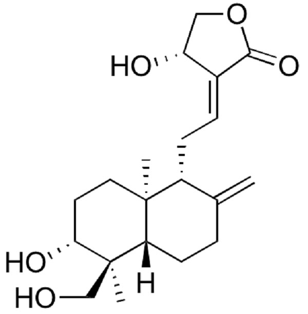  Cấu trúc hóa của andrographolide.