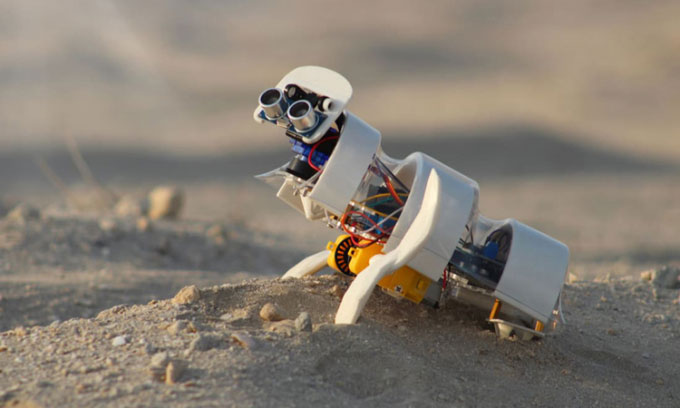  Aseedbot - robot tự động gieo hạt giống trên sa mạc. 