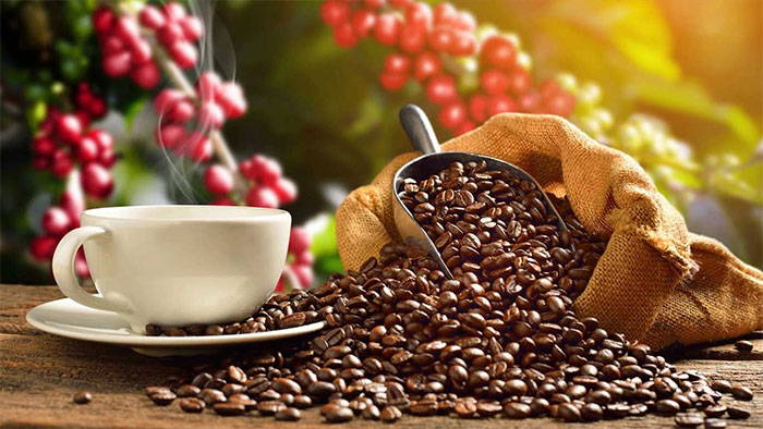 Cà phê có thể làm tăng độ hòa tan của axit uric trong nước tiểu