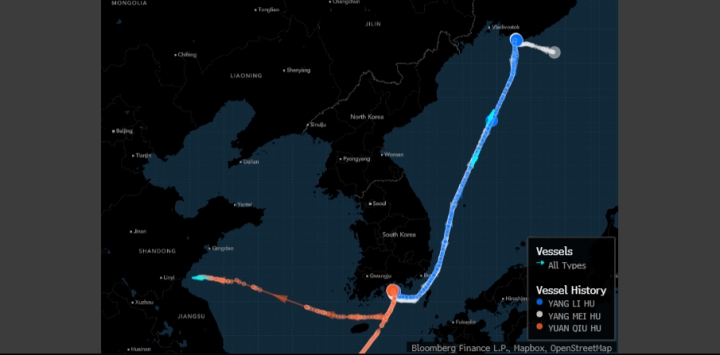 Cách dầu Nga lách khe cửa hẹp tới Trung Quốc giữa bão cấm vận - 1