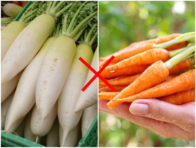 Cà rốt không kết hợp với củ cải